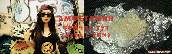 ПСИЛОЦИБИНОВЫЕ ГРИБЫ Заводоуковск