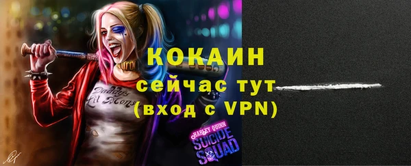 ПСИЛОЦИБИНОВЫЕ ГРИБЫ Заводоуковск
