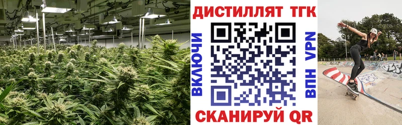 Купить  Кедровый  ТГК Wax 