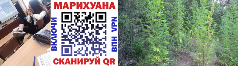 МАРИХУАНА VHQ  Купить  Кедровый 